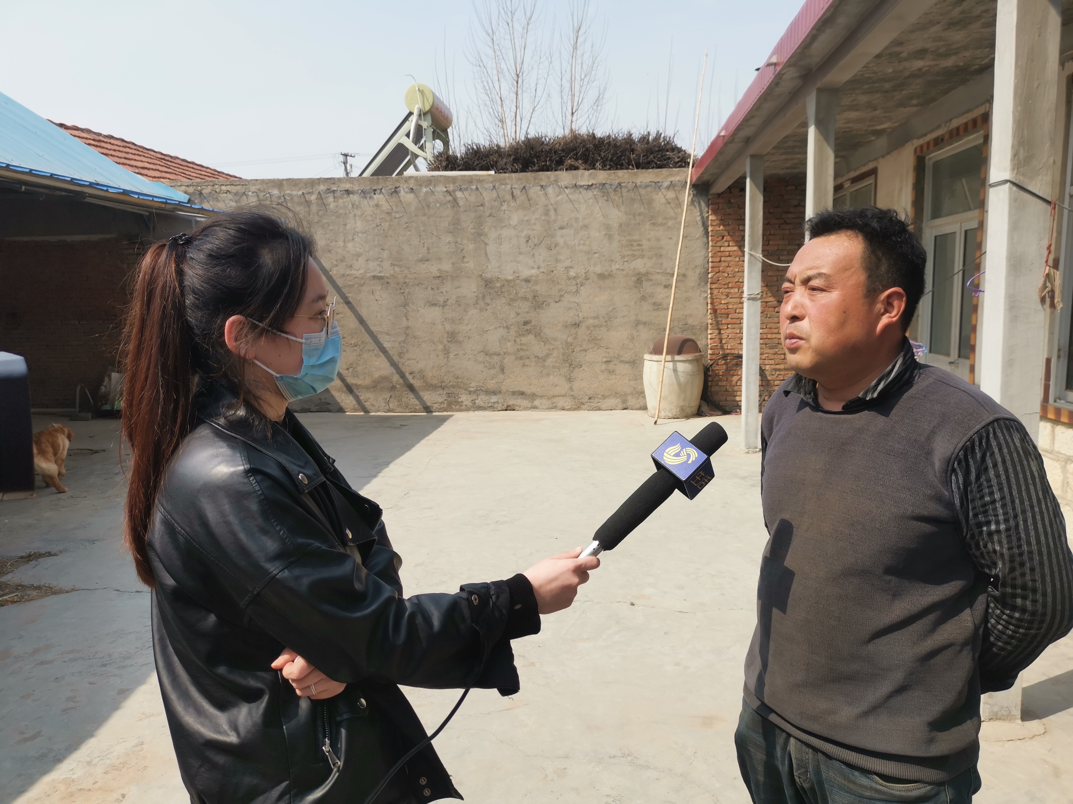 第209所 平度市崔家集镇状元府乐动体育·（LeDong Sports）官方网站刘丽新小学