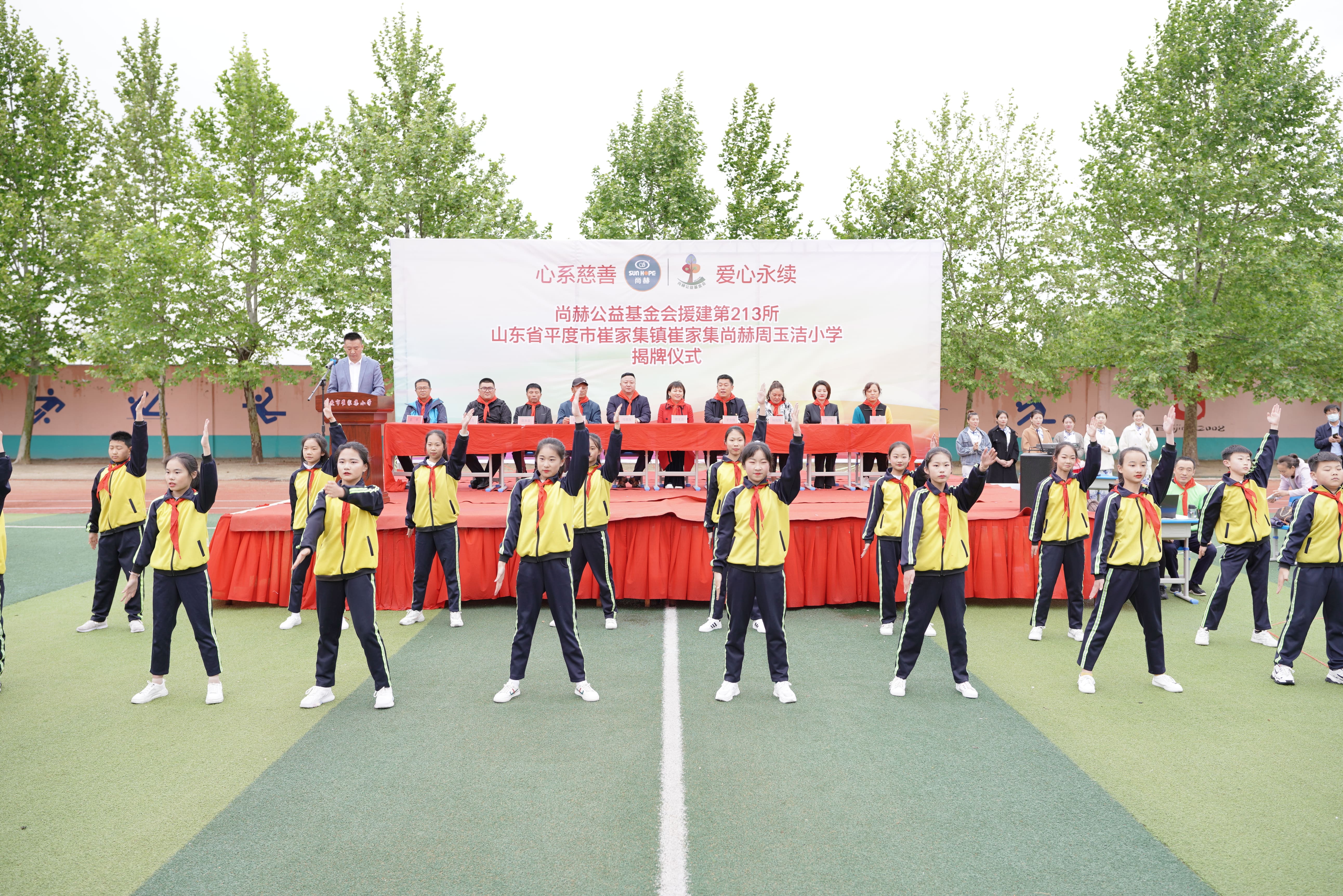 第213所 平度市崔家集镇崔家集乐动体育·（LeDong Sports）官方网站周玉洁小学