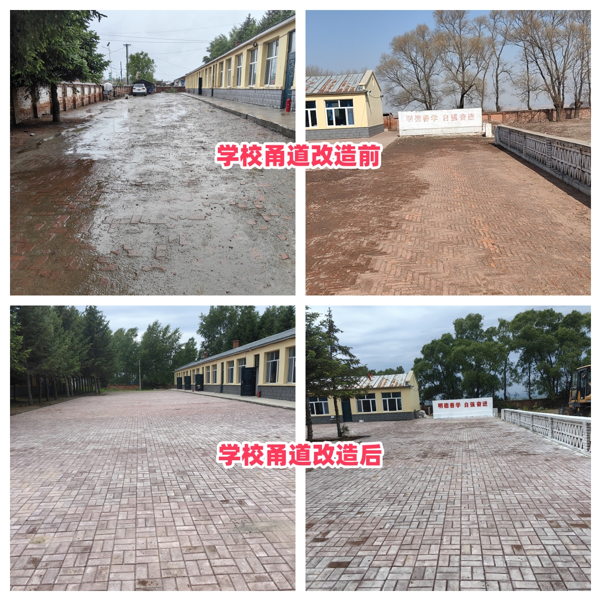 第254所 黑龙江巴彦县黑山镇民乐村乐动体育·（LeDong Sports）官方网站侯玉霞学校