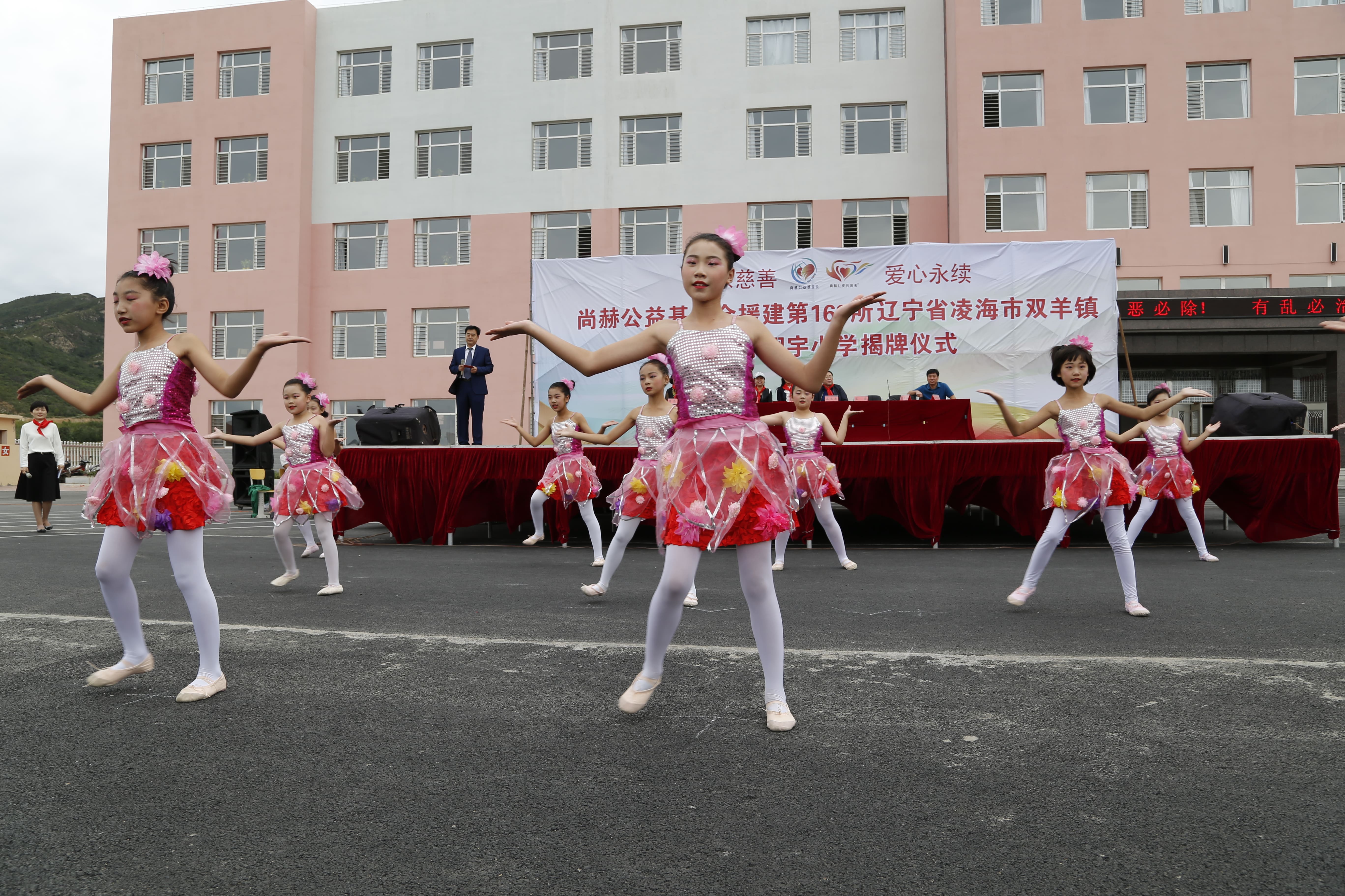 第163所 凌海市双羊镇乐动体育·（LeDong Sports）官方网站孙翔宇小学